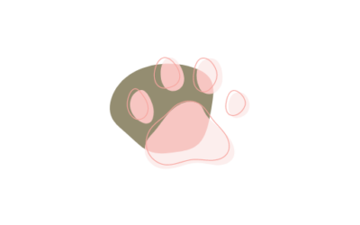 Simba