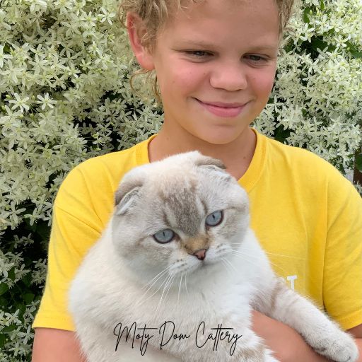 Moty Dom Cattery (1)