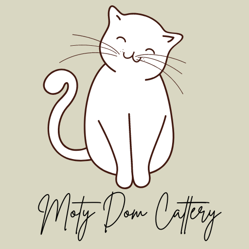 Moty Dom Cattery - Scottish Fold and British short hair