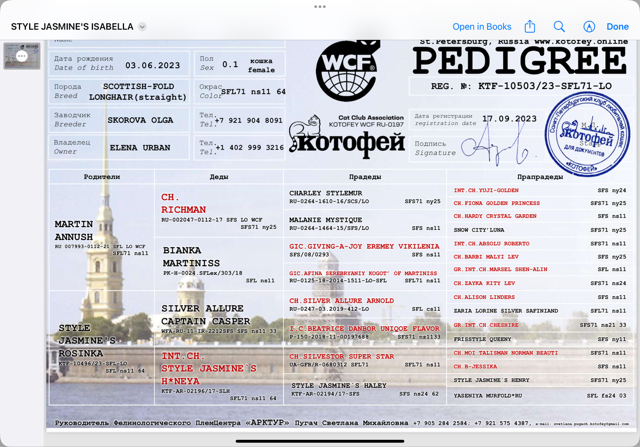 Untitled design (6) Licence